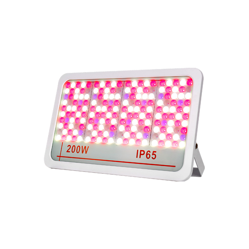 LED洪水光