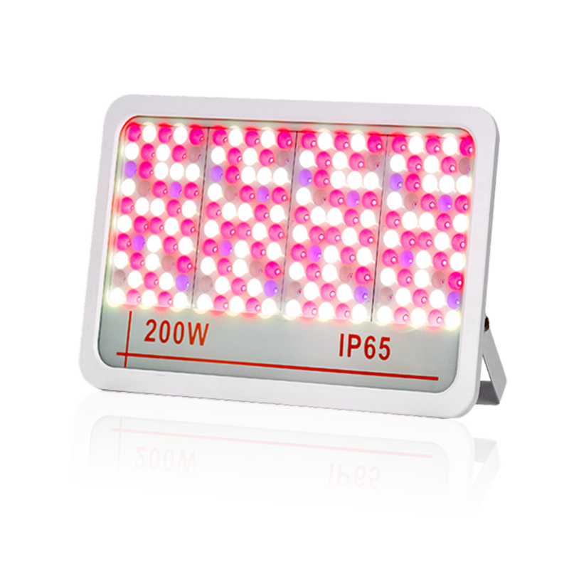LED洪水光