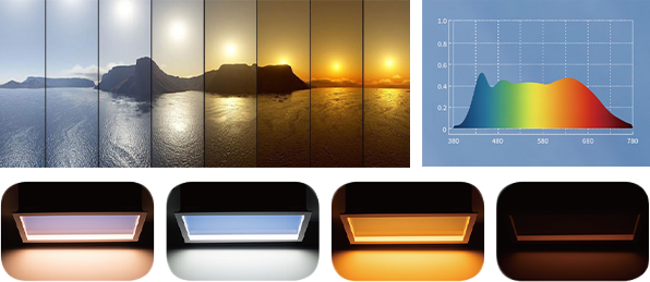 Xin Guang Yuan（New Lights）Lighting Technology Co.、Ltd。