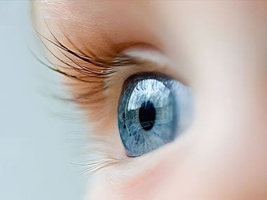 Xin Guang Yuan（New Lights）Lighting Technology Co.、Ltd。