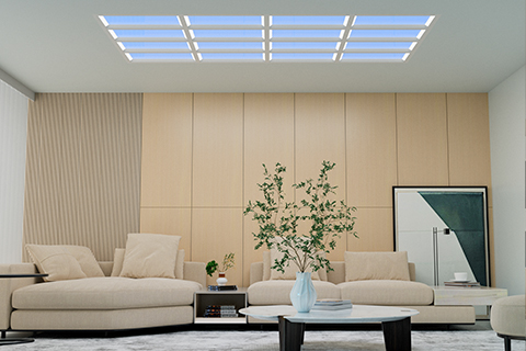 Xin Guang Yuan（New Lights）Lighting Technology Co.、Ltd。